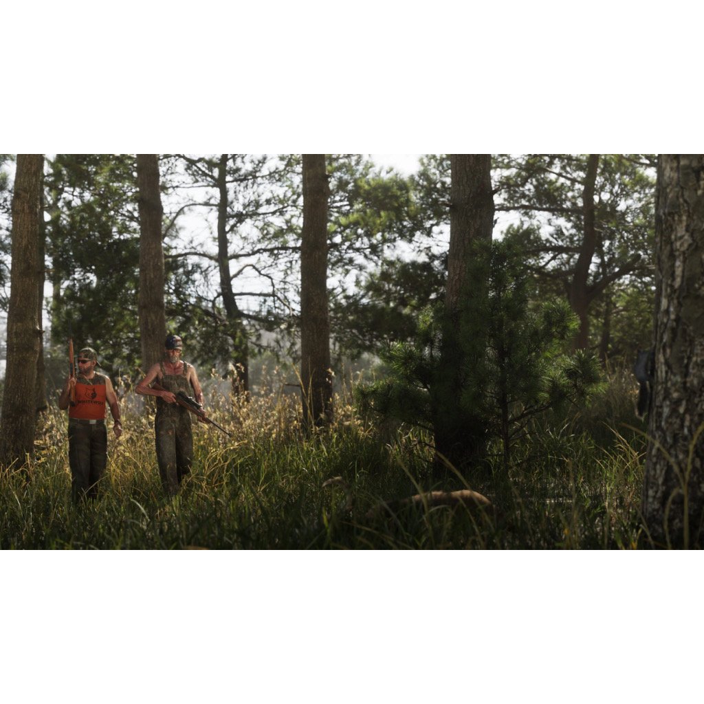 GTA VI – Grand Theft Auto VI — foto 8